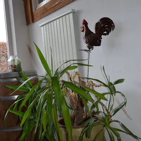 Kelpiebrink فندق مبيت وإفطار 3*