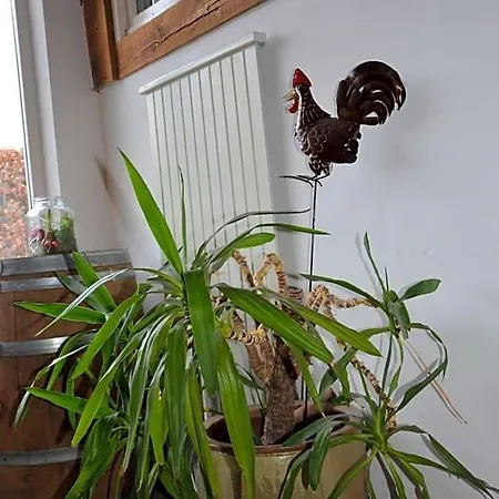 Bed and Breakfast Kelpiebrink Baarle-Nassau
