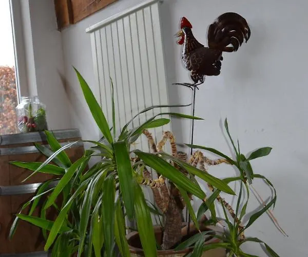 Kelpiebrink Bed & Breakfast 3*