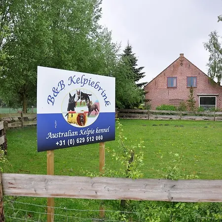 Kelpiebrink Oda ve Kahvaltı *